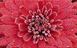 Mosaici in Fotoceramica - MOSAICI PERSONALIZZATI- Mosaici in gres porcellanato -
