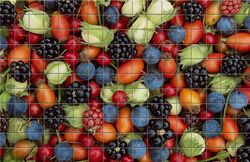 Mosaici in Fotoceramica - MOSAICI PERSONALIZZATI- Mosaici in gres porcellanato -