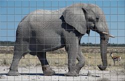 Mosaici in Fotoceramica - MOSAICI PERSONALIZZATI- Mosaici in gres porcellanato -