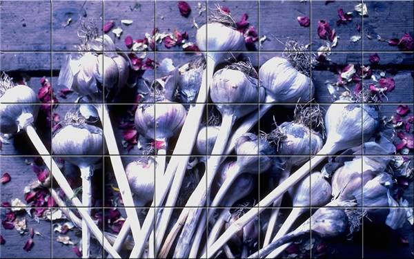 Mosaici in Fotoceramica - MOSAICI PERSONALIZZATI- Mosaici in gres porcellanato -